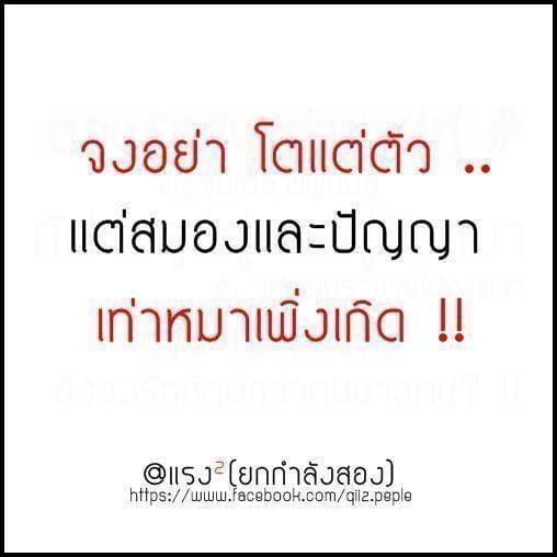 ใหม่ 68 คำคมแอบรัก แอบรักเพื่อนความหมายดีๆ เอาไว้โพสเพิ่มความฮอตในTwitter  ใหม่ 100% คําคมโดนๆสั้นๆลงเฟส - แคปชั่น